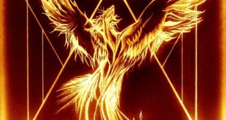 Picture - Wings